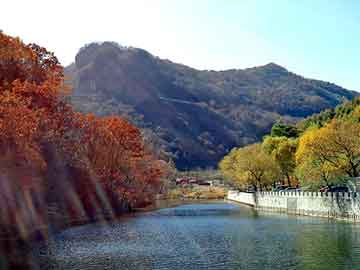 管家婆黑白马报图库，花都开好了 小说